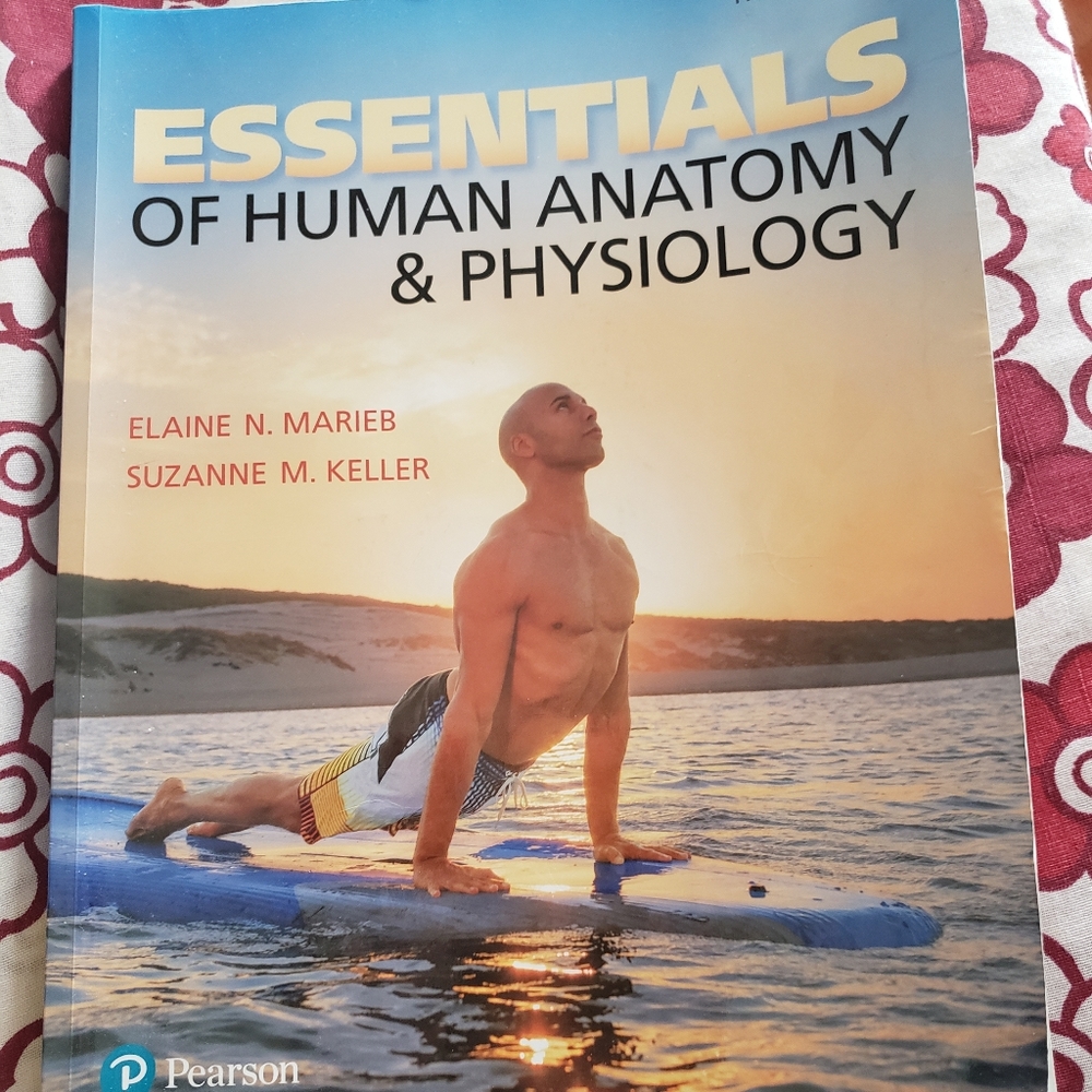 Essentials of Human Anatomy & Physiology Textbook